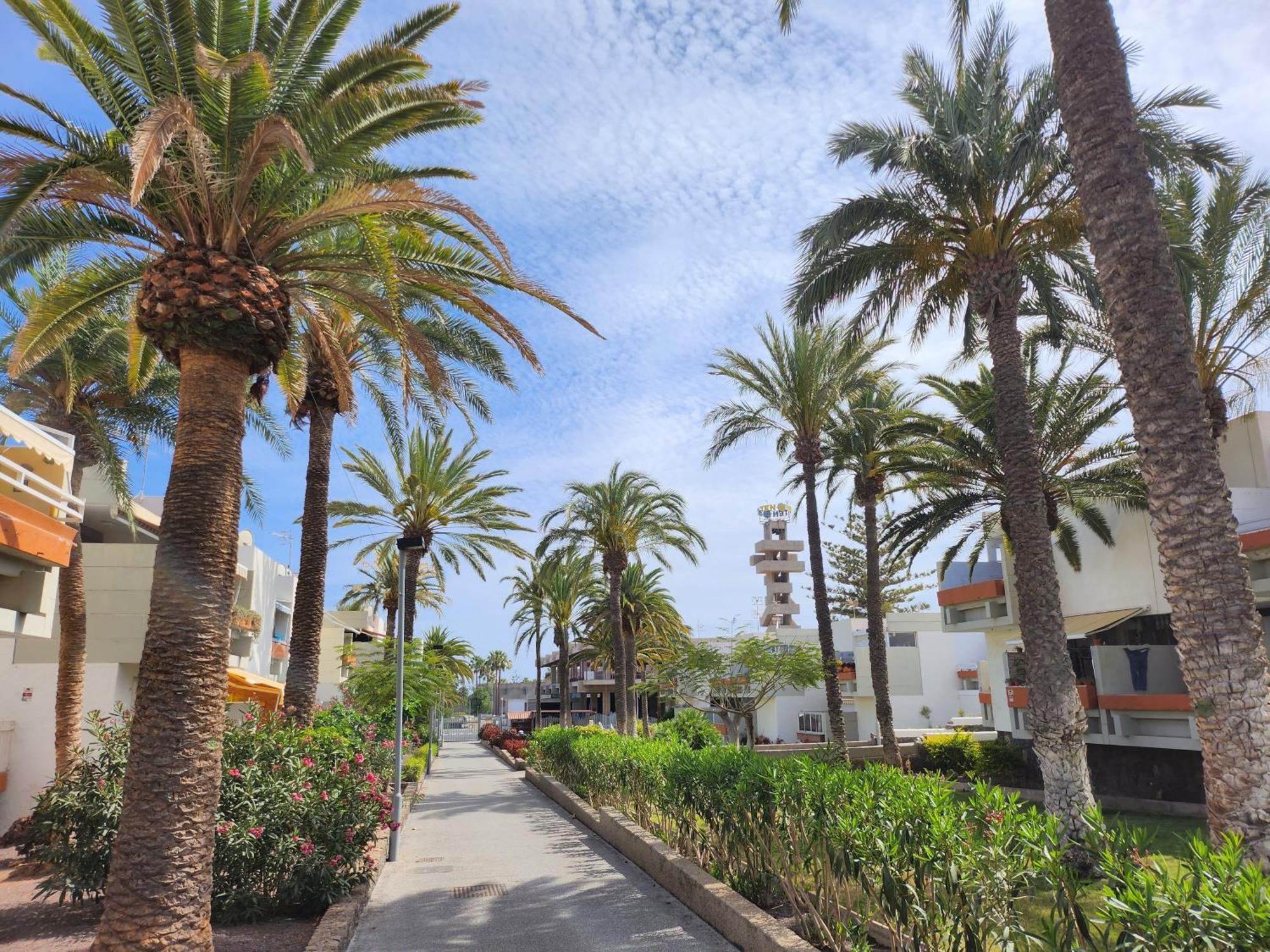 Tenerife Sunshine South Apartment Beach By La Ballena Arona  Ngoại thất bức ảnh