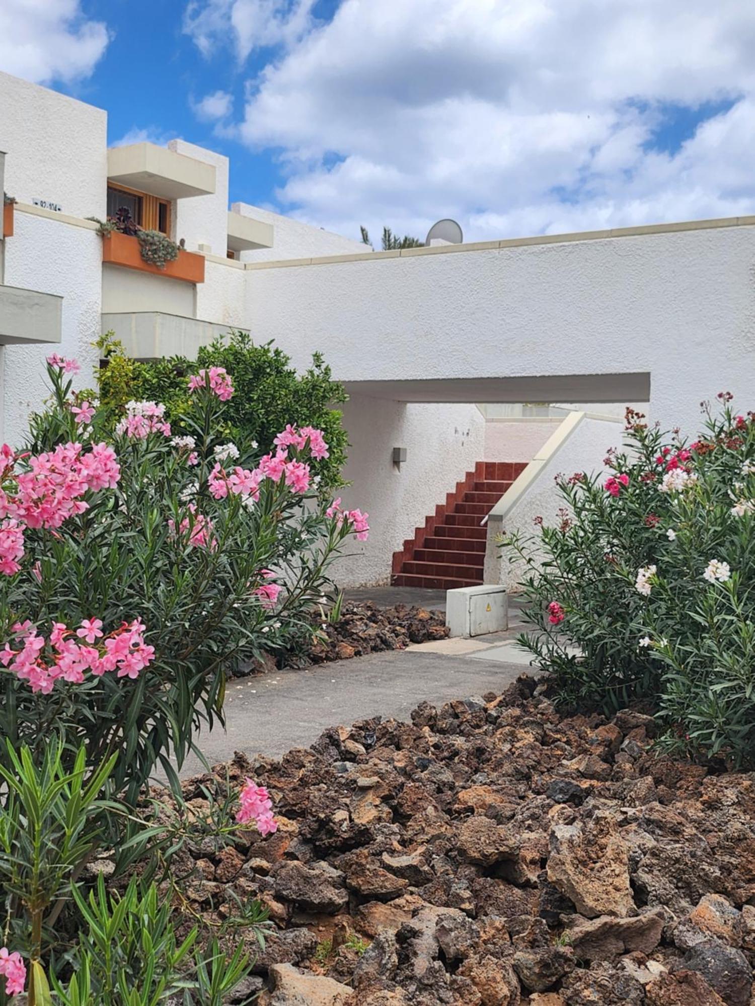 Tenerife Sunshine South Apartment Beach By La Ballena Arona  Ngoại thất bức ảnh