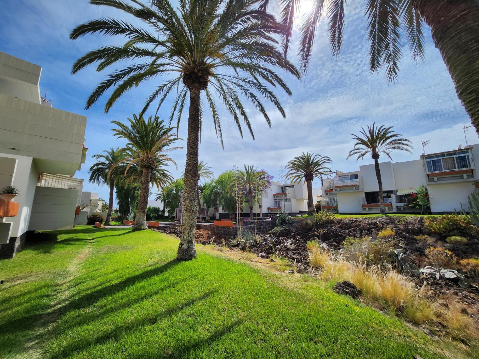 Tenerife Sunshine South Apartment Beach By La Ballena Arona  Ngoại thất bức ảnh