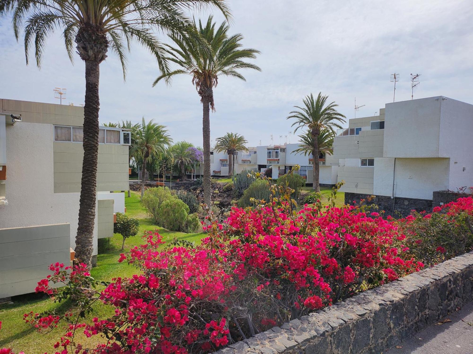 Tenerife Sunshine South Apartment Beach By La Ballena Arona  Ngoại thất bức ảnh